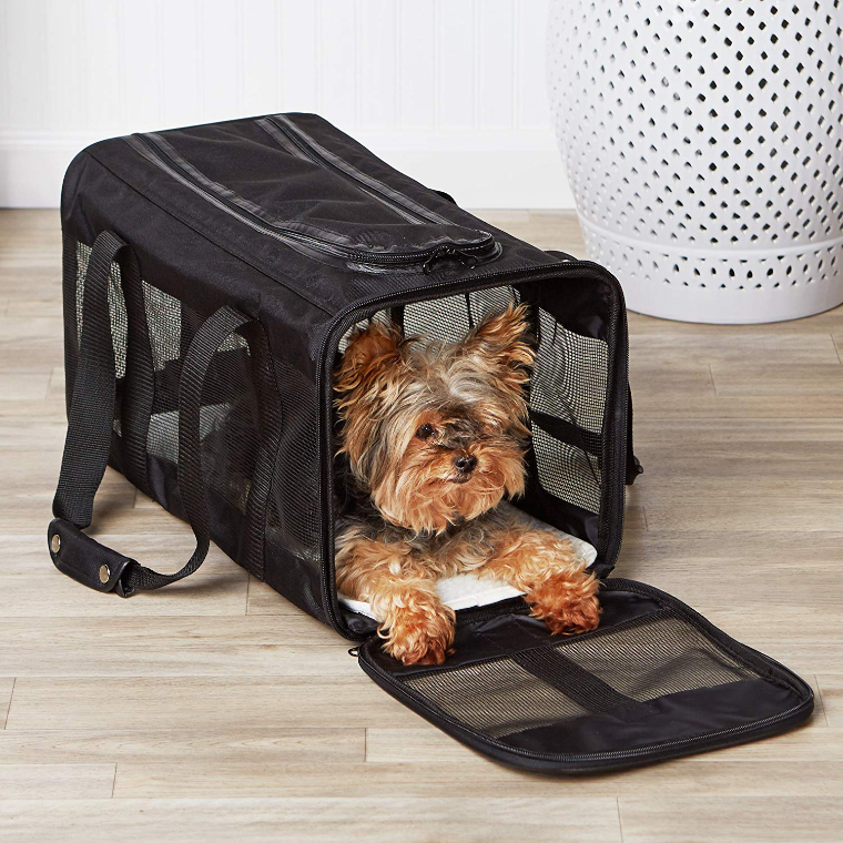 Trasportino per animali domestici Pet Carrier