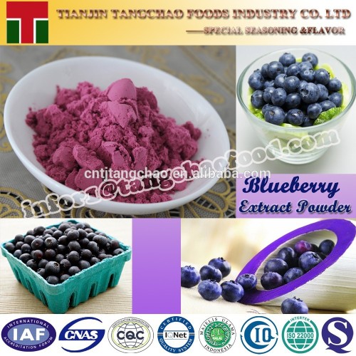 100% Natural Freeze Dried Blueberry Powder Blueberry Extract Concentrate Powder