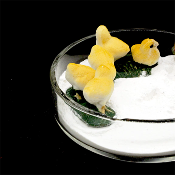 Aquaculture Mineral Additives Tricalcium Phospahte 18%