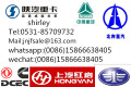 Howo Piston Liner Set 612600030010/612600030011 / E2-4a