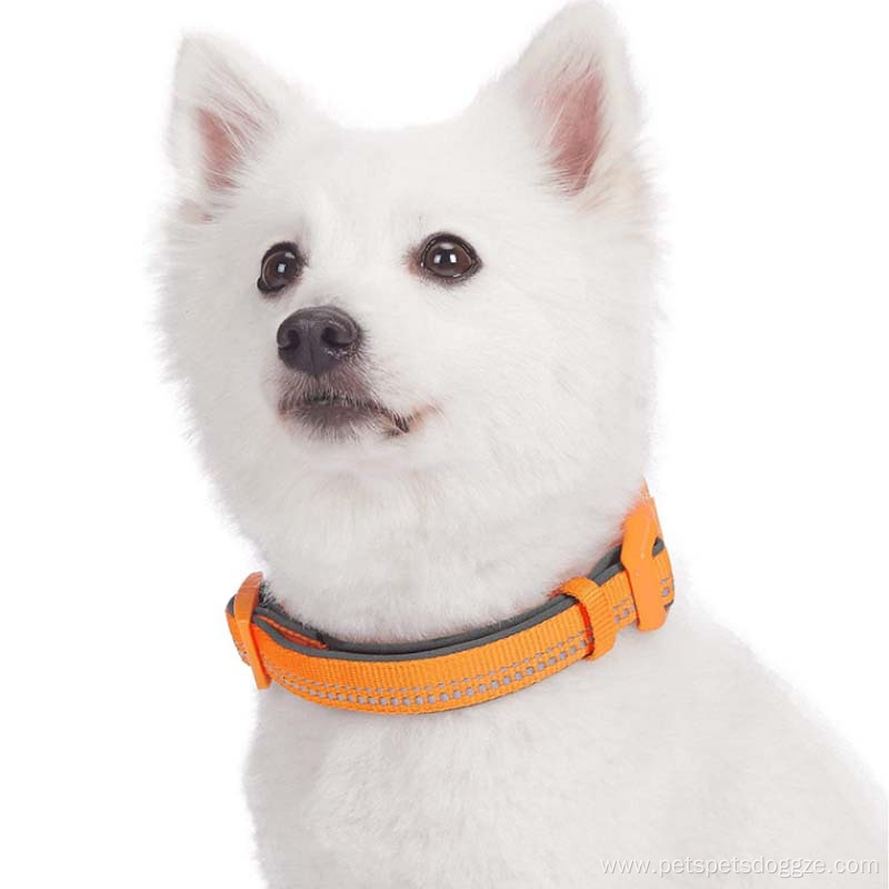Adjustble Nylon Dog Collars Custom Training Dog Collar