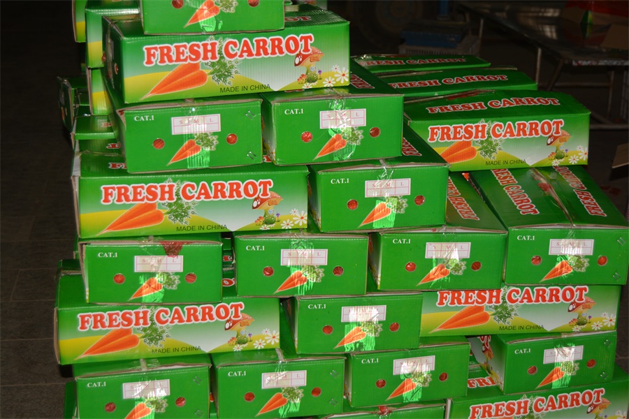 Fresh Farm Carrot