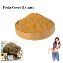 Organic plant poria cocos root extract powder skincare