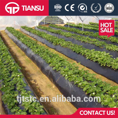 black plastic mulch film for agriculture fram