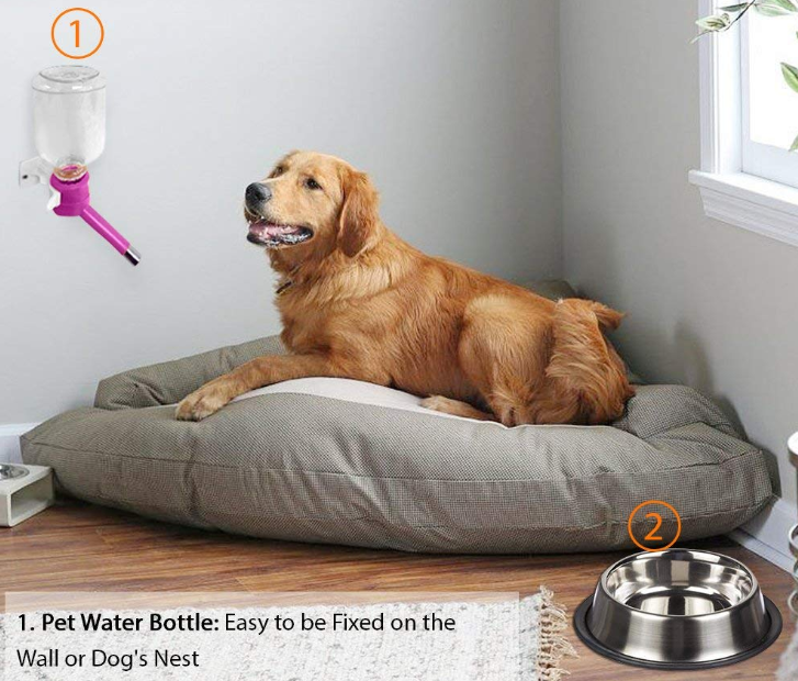 No Drip Pet Dispenser Bottle