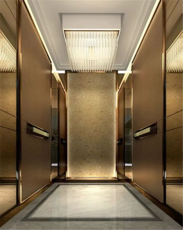 Luxury Passenger Elevator for Hotel