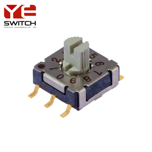 RH RV RM ROTATY CODE SWITCHES