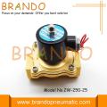 2W Brass Siri Solenoid Valve 2W250-25