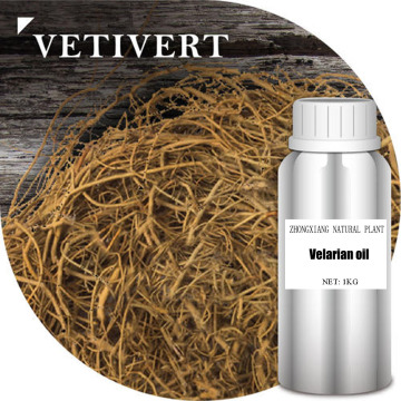 फैक्टरी आपूर्ति 100% शुद्ध भारत vetiver आवश्यक तेल