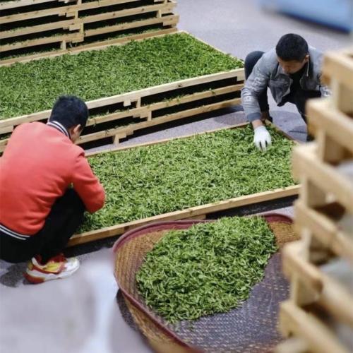 Teh Teh Hijau Longjing Cina Teh Hijau Sumur Hijau