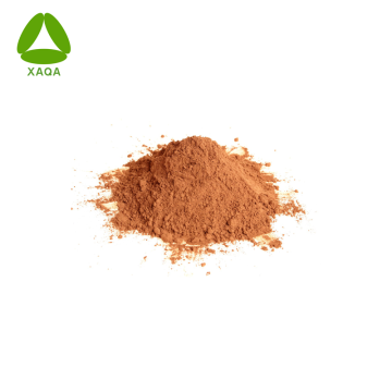 Organic Herbal Extract Made Capsules Cissus Quadrangularis Leaf Extract Powder