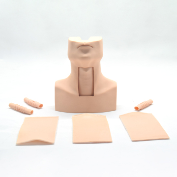 Advanced Suction Training Models: Exploring the Use of Half-Body Human Models and Suction Training Manikins