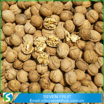 Natural Thin Skin Common Fresh Shelled Walnuts For Sale