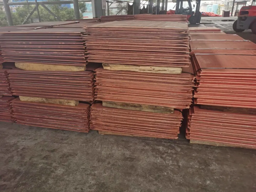 Pure Copper Cathode Best Price