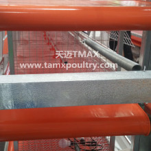 Automatic Poultry Manure Removal System