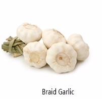 China farm fresh solo garlic