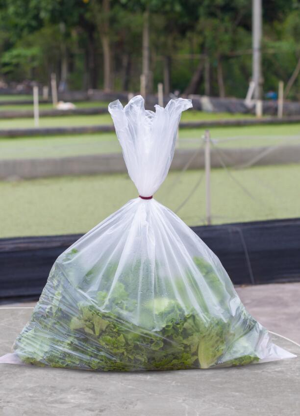 Plastic Bag for Vegetable