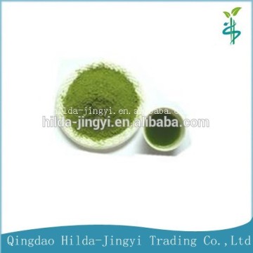 Best Sale Organic wheatgrass juice powder (Triticum vulgare L.)