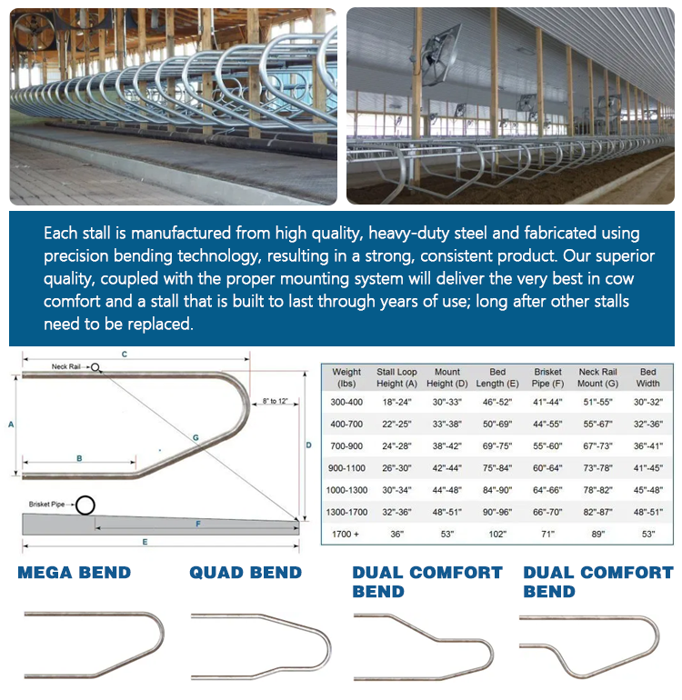 stable horse shed barn steel structure cowshed prefabricated dairy cow cattle farm shed barns house building bangladesh