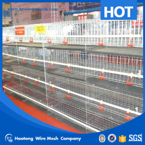 OEM 3layers layer chicken cage for chicken farm for sri lanka