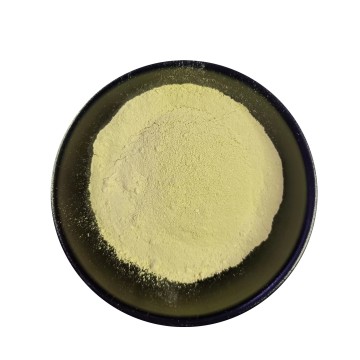 Rutin Powder 95% Standardized Extract