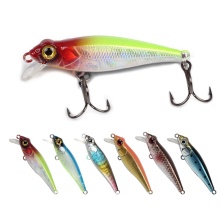 Eco-Friendly Hard Plastic Minnow Lures for Trolling