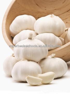 natural garlic make in china