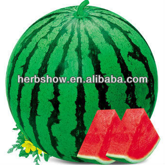 Red Water Melon Seeds