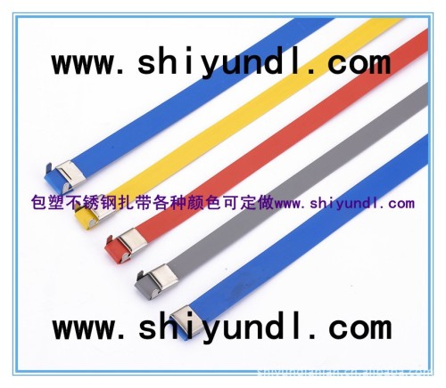 China Stainless Steel PVC Coated Cable Ties