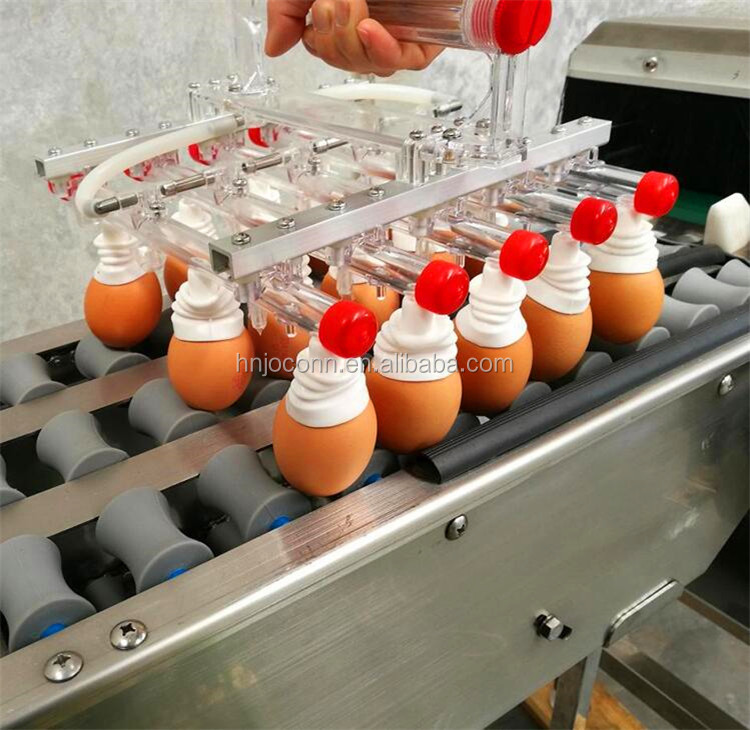 Small Scale Egg Grading coding machine /Egg Sorter printer / egg weight selector machine for egg grading