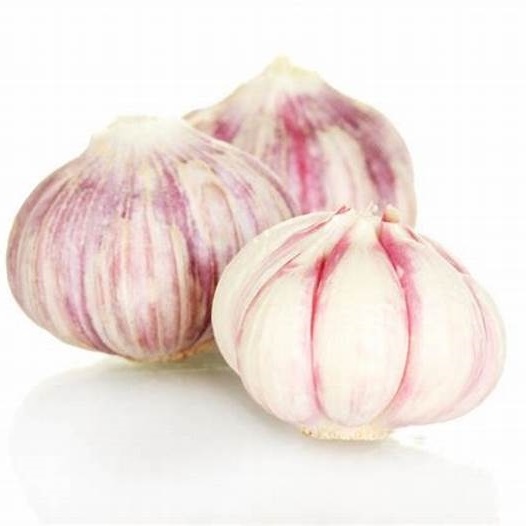 Fresh Red Garlic