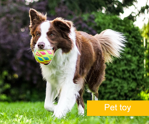 Pet Toys