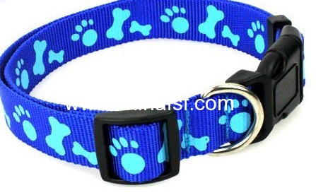 2013 New design pet products wholesale dog collars and leashes