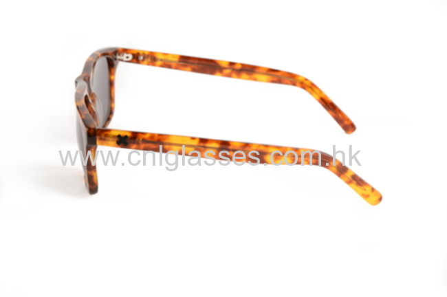 Tortoise Frame Sunglasses, Fashion Acetate Amber Sunglasses