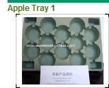 Recycled Pulp Paper Egg Tray pallet Disposable Receptacles Classical and Popular Pulp Products pulp and paper mill