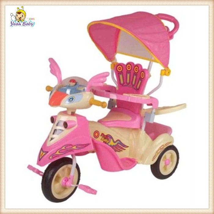 Baby Smart Trike With Many Positions Canopy , Lovely Style Baby Tricycle