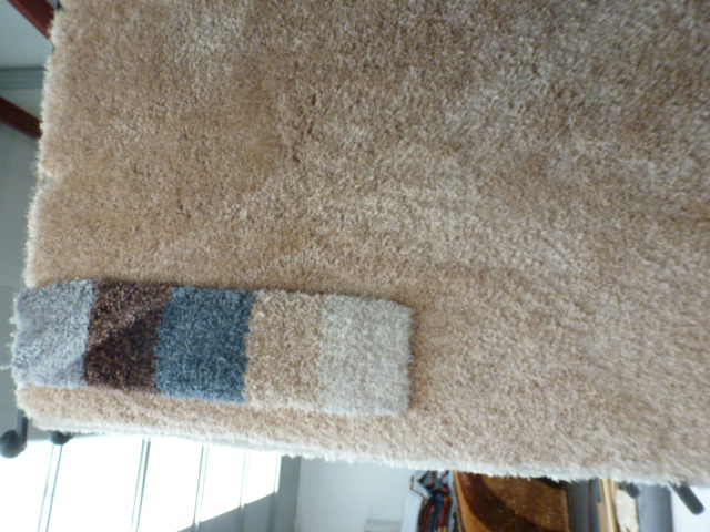 Polyester Contemporary Shaggy Pile Rug, Modern Carpet Rugs For Living Room