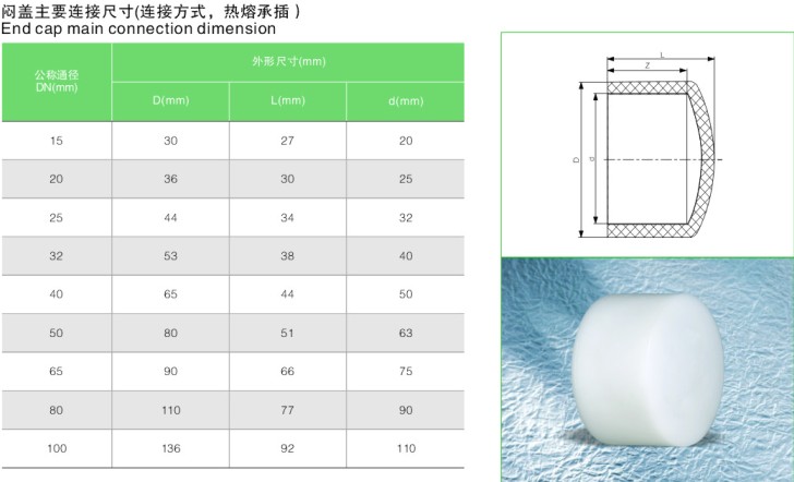 PVDF pipe fitting end cap socket fusion 20mm-110mm, PVDF piping PN16