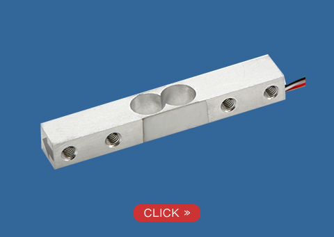 Micro Load Cell