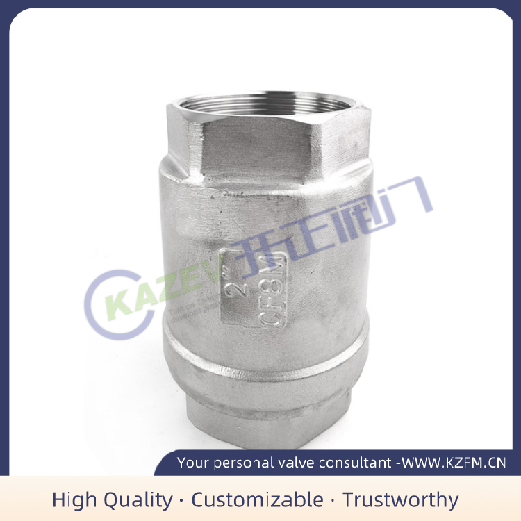 Vertical Check Valve