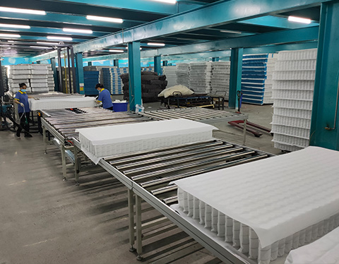 Roller Conveyor