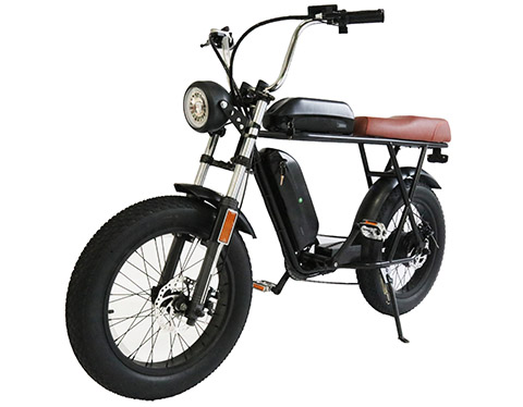 Electric Bicycle