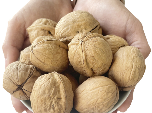 Walnuts Inshell