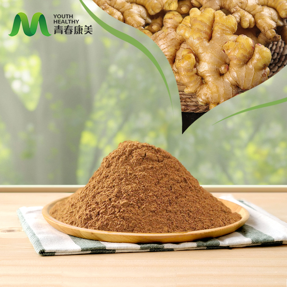 Ginger Extract Powder