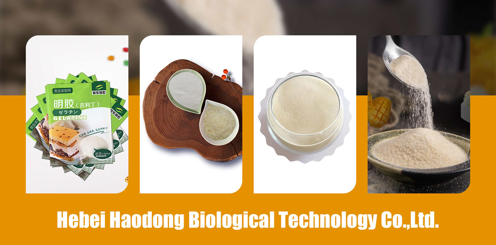 Hebei Haodong Biological Technology Co.,Ltd.