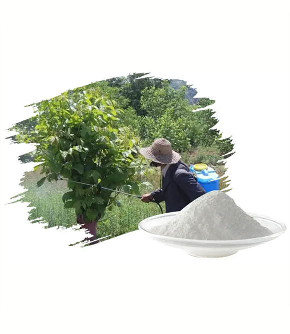 Hygienic Insecticide