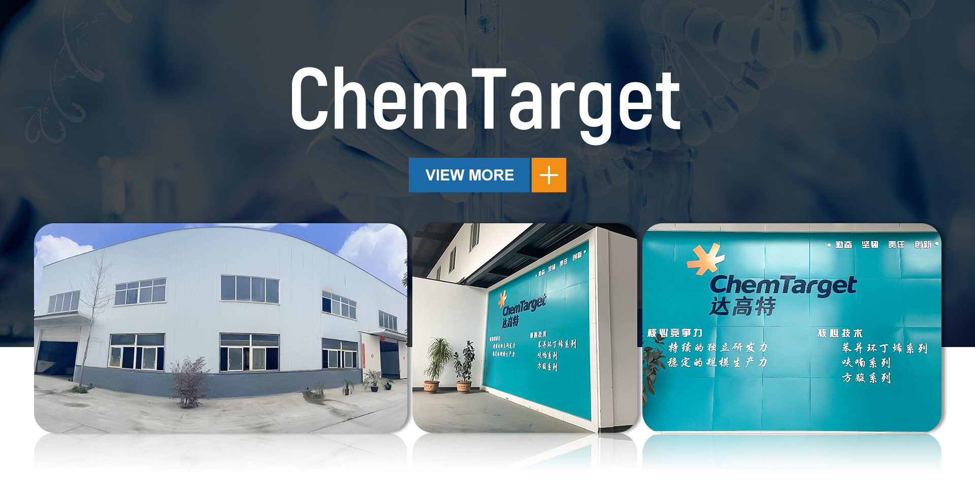 Chemtarget Technologies Co., Ltd.