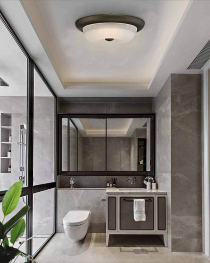 Indoor Ceiling Light