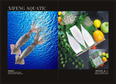 //bsg-i.nbxc.com/upload/1520/676/d0b6302d24ba0c9a150dd66c60a4f1dc.jpg?x-oss-process=image/resize,w_383/format,jpg