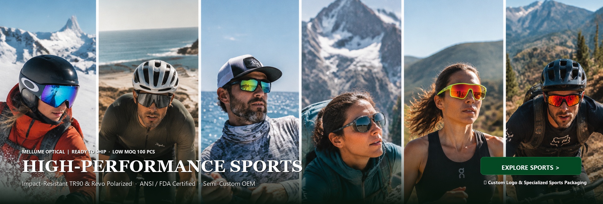 Sports Ski banner